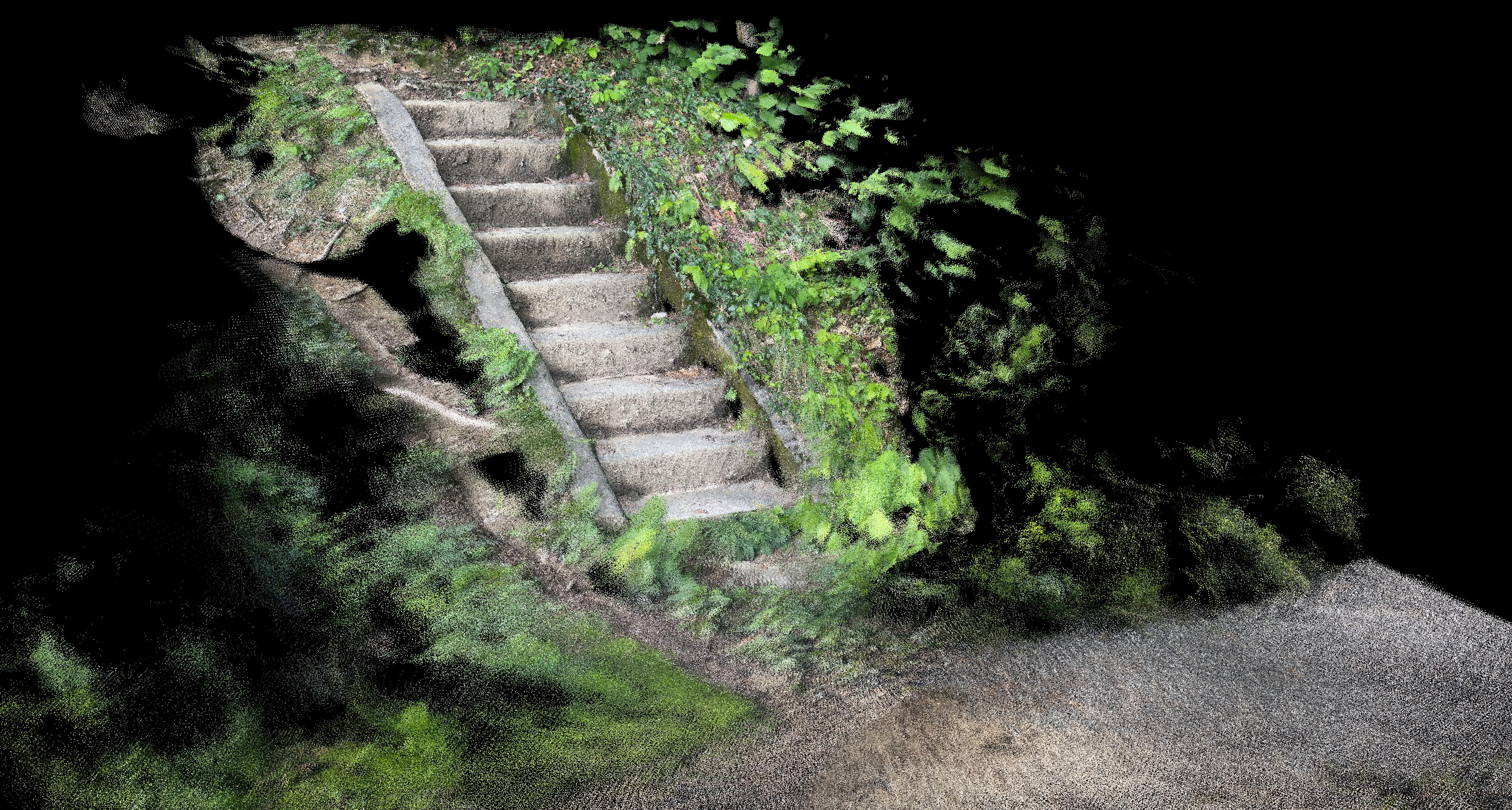 Stairs in the woods